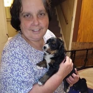 Meet your Posher, Camille